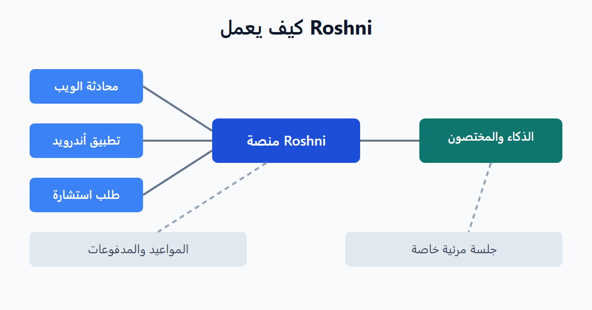 كيف يعمل Roshni