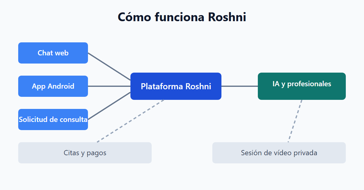 Cómo funciona Roshni