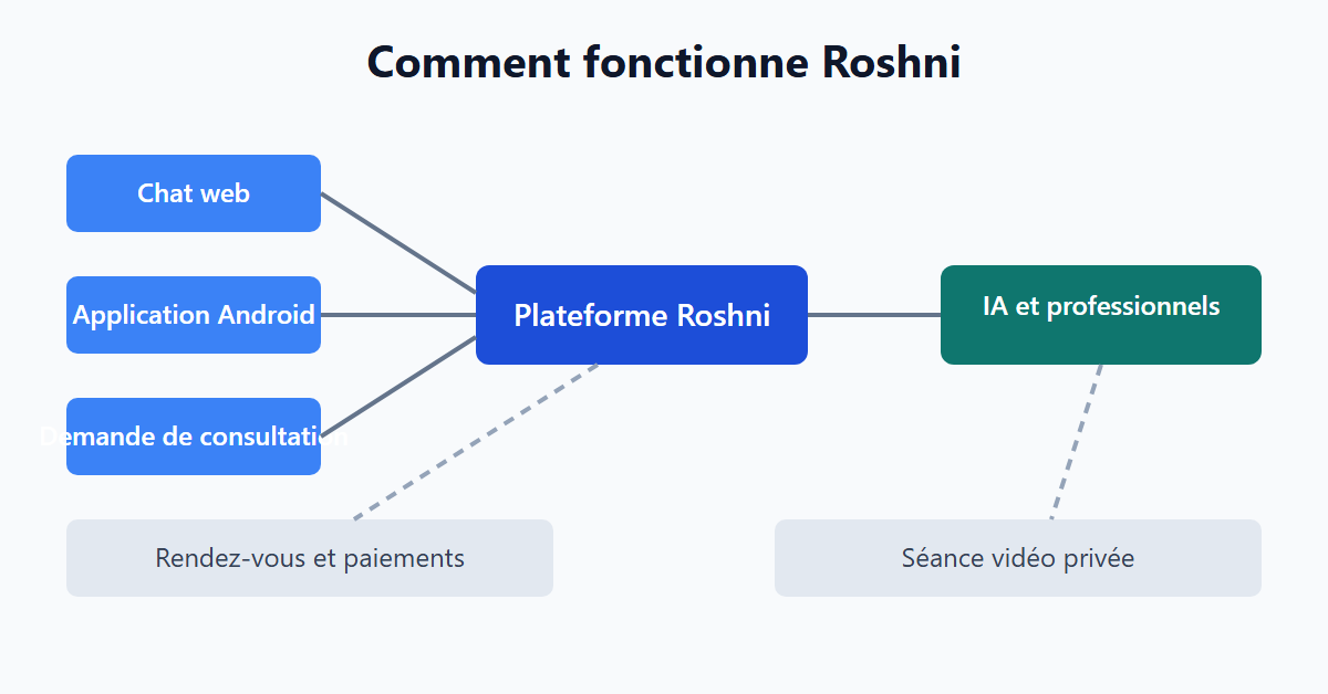 Comment fonctionne Roshni