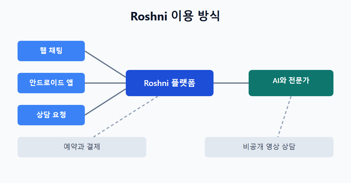 Roshni 이용 방식