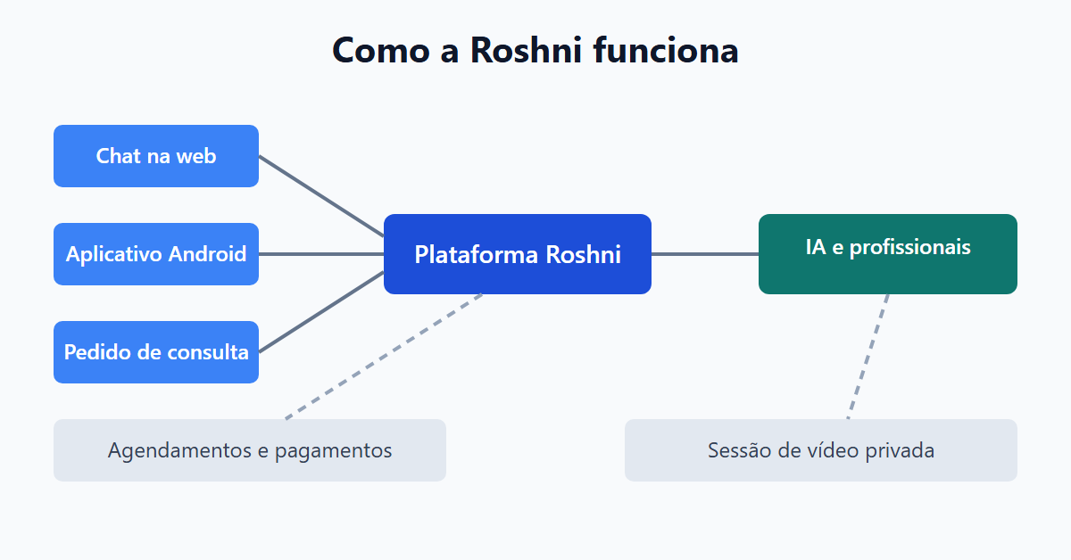 Como a Roshni funciona